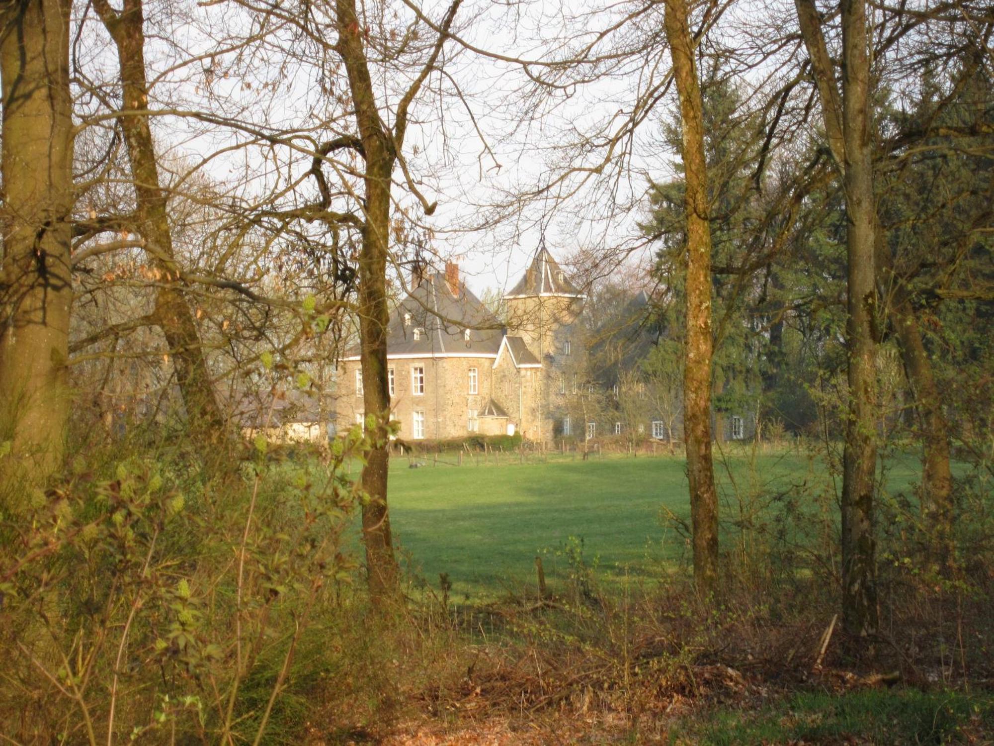 Delightful Castle In Bastogne With Bubble Bath Βίλα Εξωτερικό φωτογραφία